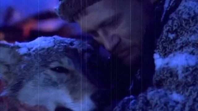 СТИХ - "ВОЛЧЬЯ ПРЕДАННОСТЬ" смотреть онлайн