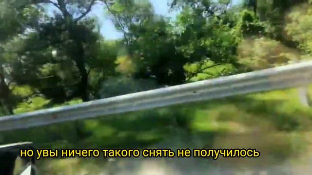 Обзор покупок/Рынок Дубки/г.Нальчик смотреть онлайн