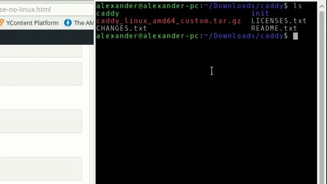 Como instalar o Caddy no Ubuntu смотреть онлайн