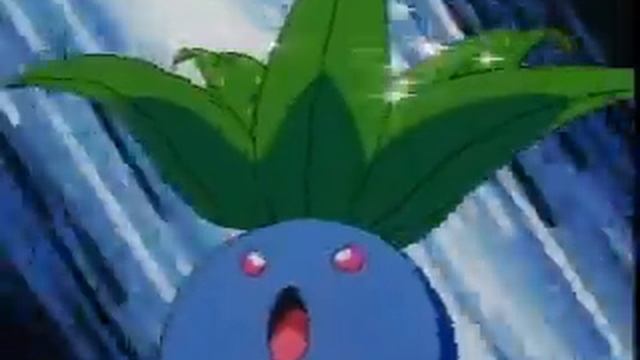 Pokemon Magic Flute смотреть онлайн