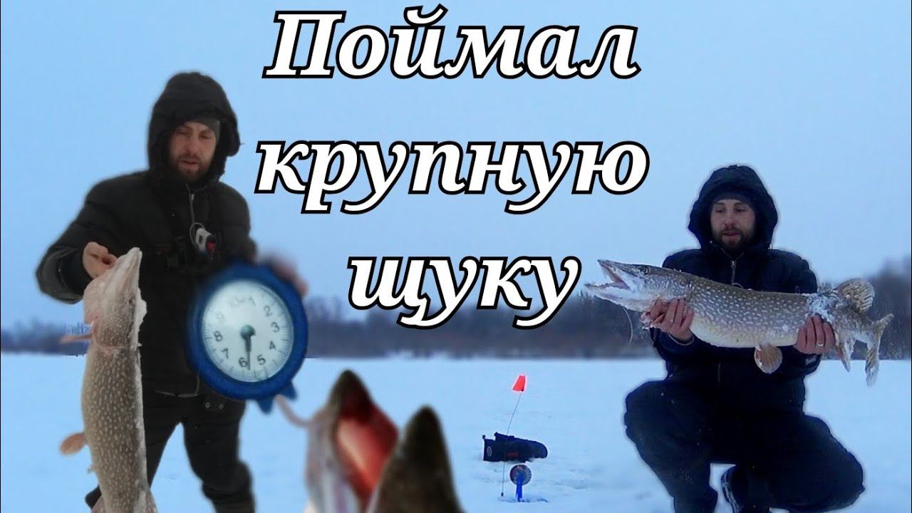 Таких щук я ещё не ловил!Рыбалка на жерлицы в заливе на Волге.