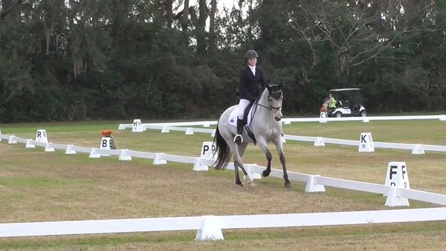 Madeline Hartsock & Tullabeg Tango PR Dressage смотреть онлайн