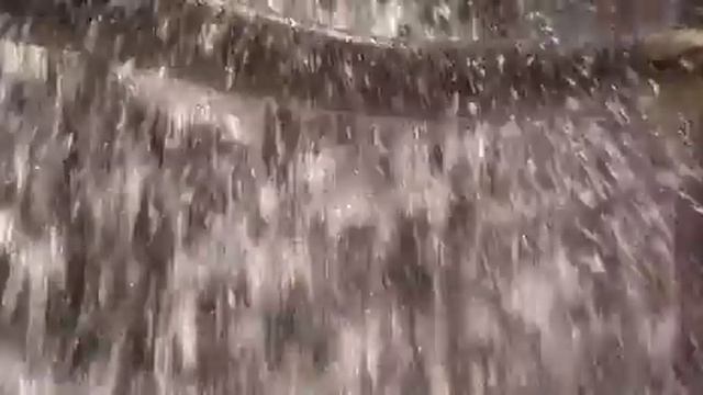 Anaconda 1 best lake scence смотреть онлайн