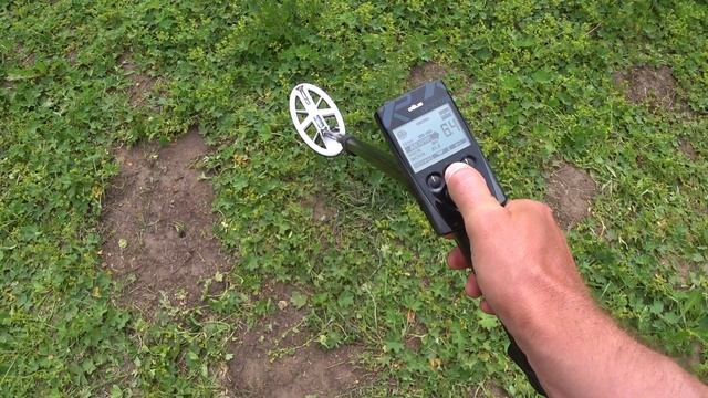 Знакомьтесь Белочка! HF Coil катушка для XP Deus смотреть онлайн