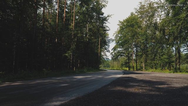 2018 Porsche 911 Carrera T - the 