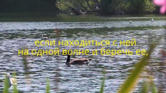 Путь к счастью! смотреть онлайн