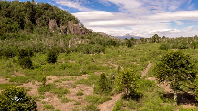 4K Video - Beautiful Chile - Patagonia in Ultra HD! смотреть онлайн