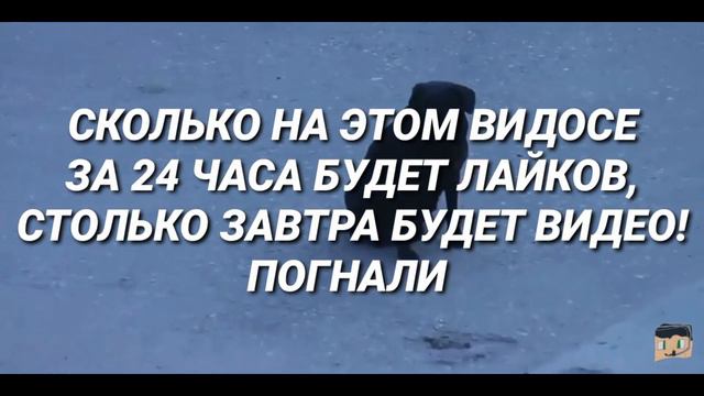 СКОЛЬКО НА ЭТОМ ВИДОСЕ ЗА 24 ЧАСА БУДЕТ ЛАЙКОВ, СТОЛЬКО ЗАВТРА БУДЕТ ВИДЕО! смотреть онлайн