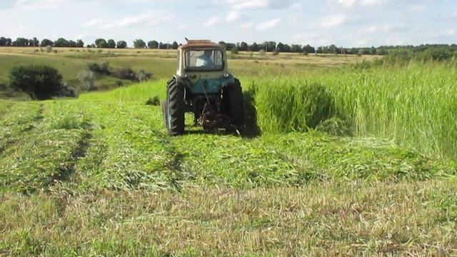 Трактор ЮМЗ-6 косит сегментной косилкой. часть1 смотреть онлайн