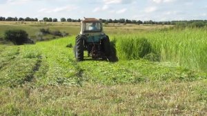 Трактор ЮМЗ-6 косит сегментной косилкой. часть1