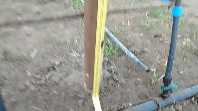 Двухплоскостная шпалера для винограда в теплице Размеры столбов для шпалеры смотреть онлайн