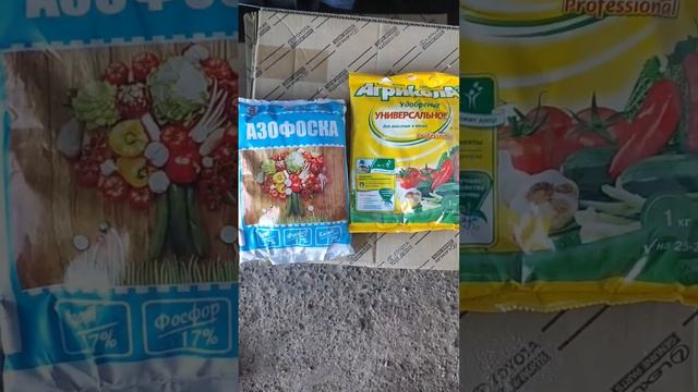 #пионы #подкормка #цветы #азофоска #чемподкормитьцветывесной #seedling_project #pions #flowers смотреть онлайн