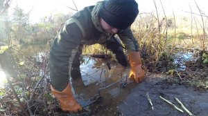 Установка проходного капкана КП 250 с следовой насторожкой на искусственном вылазе.  Бобр добыт!