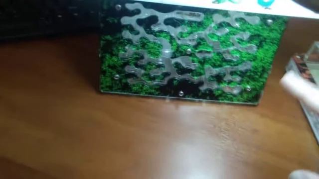 Чем кормить муравьев и как получить больших солдатов с 18 особей. смотреть онлайн