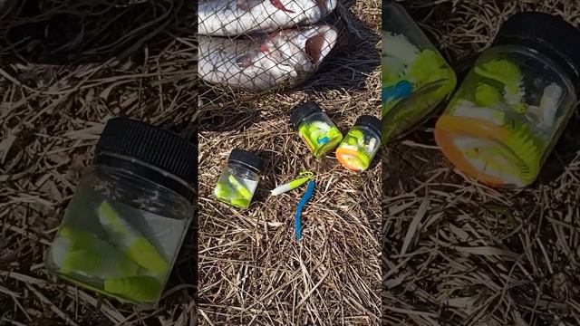 Форель на бобровый хвост смотреть онлайн