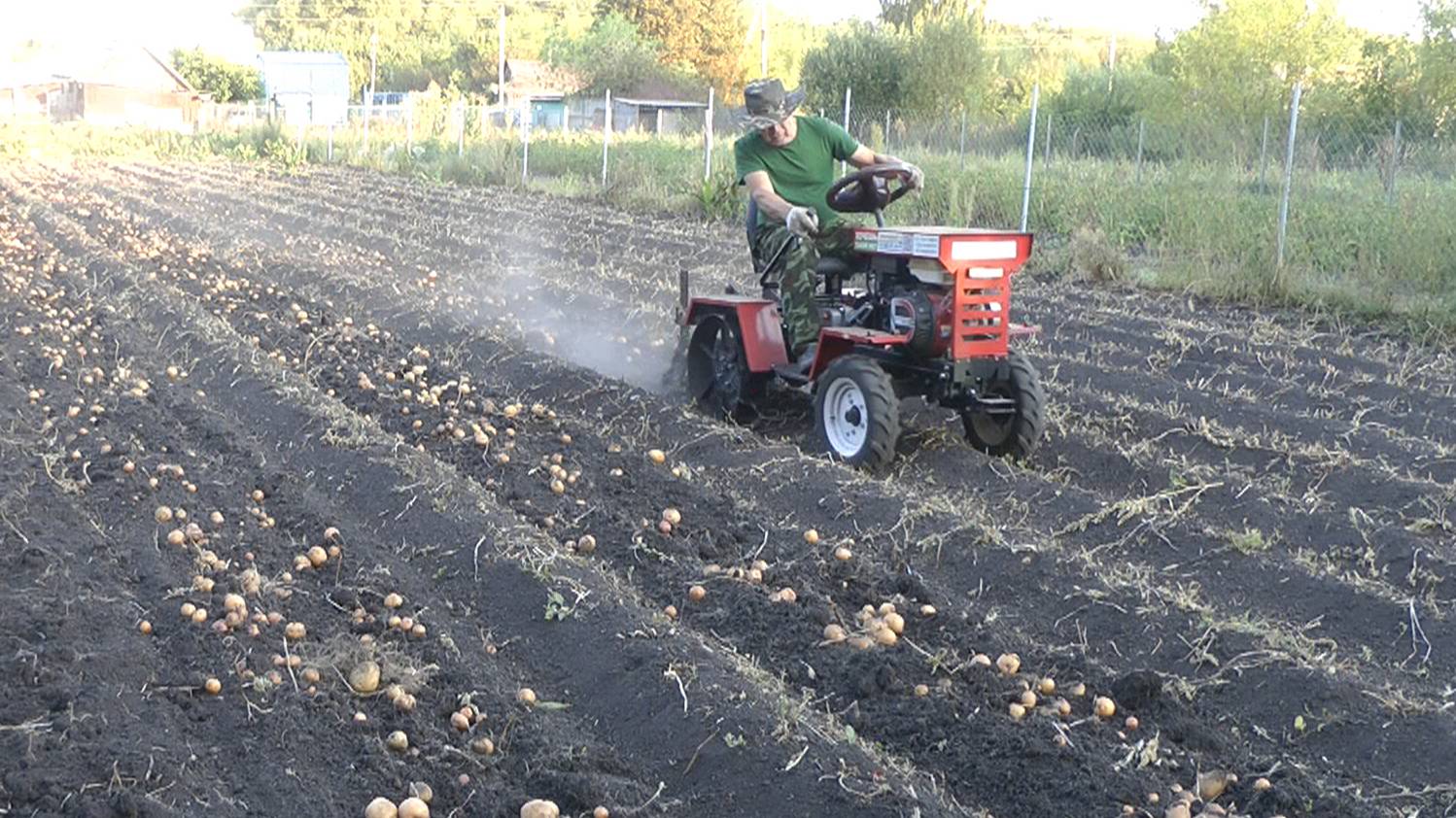 Опять про картошку и про хрен немножко.2024. смотреть онлайн