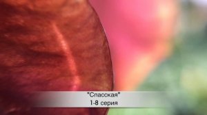 СПАССКАЯ 1,2,3,4,5,6,7,8,9,10,11,12,13,14,15,16 серия ДАТА ВЫХОДА И АНОНС (СЕРИАЛЫ 2020) ПРЕМЬЕРА