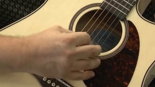 Seagull Performer Flame Maple Acoustic Guitar смотреть онлайн