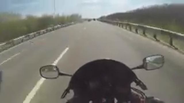 [Докатились!] Тест драйв Honda CBR 929 гончая корова. смотреть онлайн