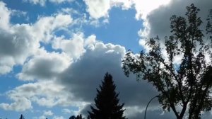 Что происходит, когда женатый мужчина влюбляется в другую женщину.