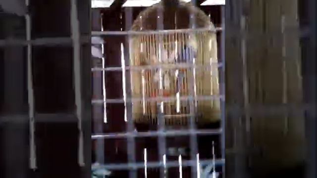 Голубицкая, зоопарк) смотреть онлайн