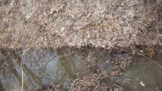 P1270174 Теплая вода реки Хопёр...ПРИБЫВАЕТ ...УРА.. Я знаю...разлив Хопра 2021 БУДЕТ !!! ! смотреть онлайн
