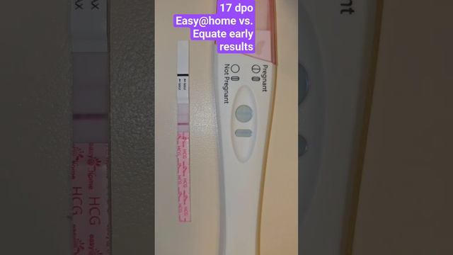 17 dpo live pregnancy test #baby #pregnancy #pregnancytest #pregnant #livepregnancytest #17dpo смотреть онлайн