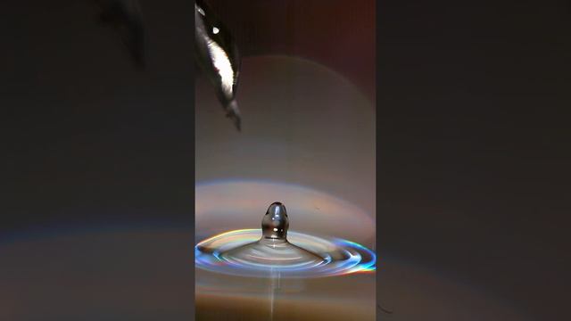 Замедленное падение капли воды) смотреть онлайн