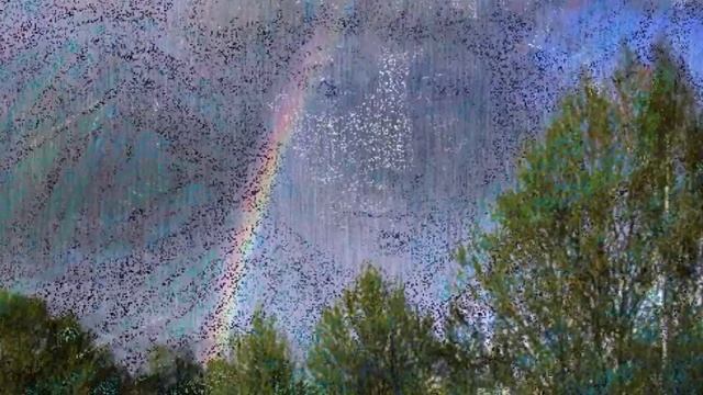 М Цветаева Лютая юдоль смотреть онлайн