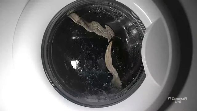 LG WD-80490S: Shoes Wash On Baby Care 40° (part 1)