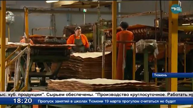 Тюменская фанера расходится по всей планете. смотреть онлайн
