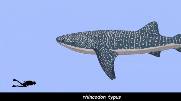 Size Comparison: Prehistoric sea monsters(Animated).