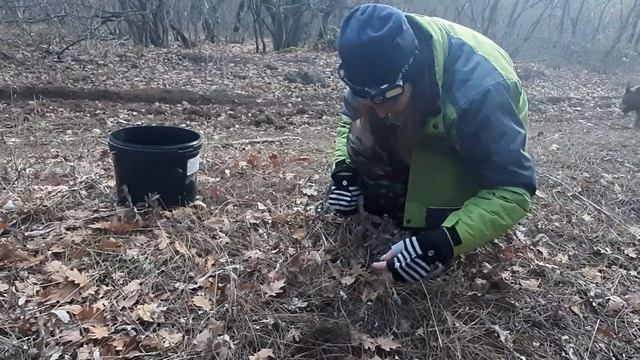 Как Змеи в январе "мышат" собирали ;) смотреть онлайн