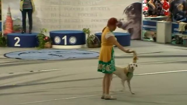 Харахурсах Елена и далматин Бесси. "Кадриль" смотреть онлайн