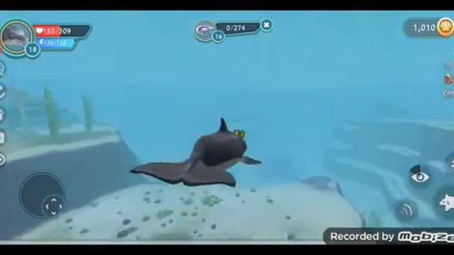 Играю в Ocean World! #1 Выполняю квест! 🐬 смотреть онлайн