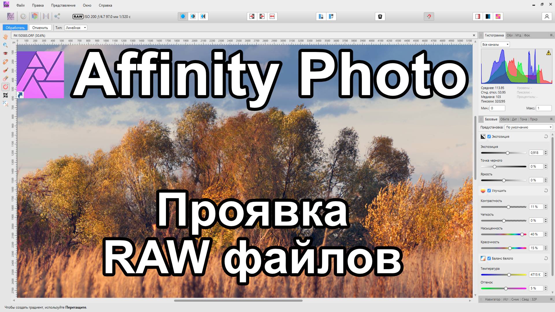 Affinity Photo обработка RAW файлов. Краткий обзор возможностей. смотреть онлайн
