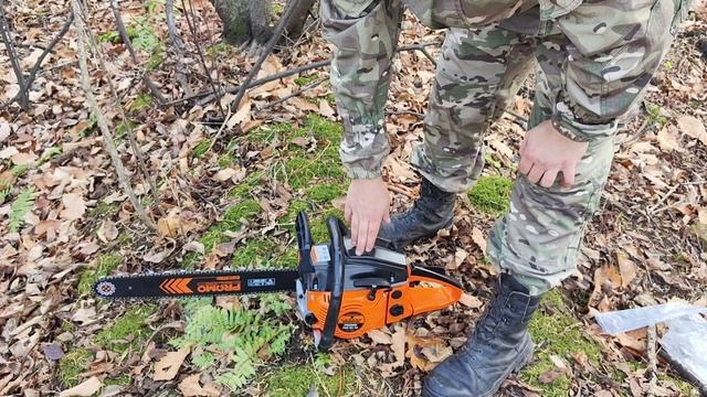 Carver PRomo PSG 52-18 Лучшая бюджетная пила с магазина DNS смотреть онлайн