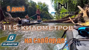 Сплав по завалам на сапборде по реке Сок