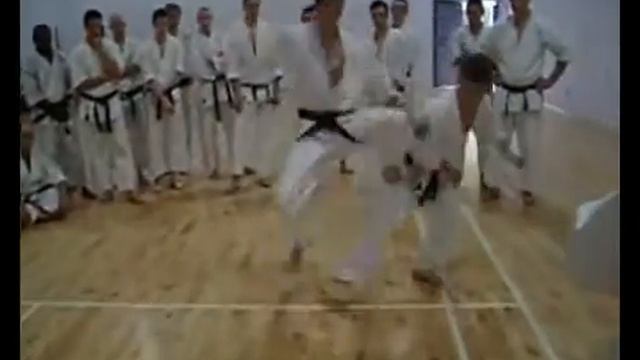 Mitsusuke Harada Karate Lesson.