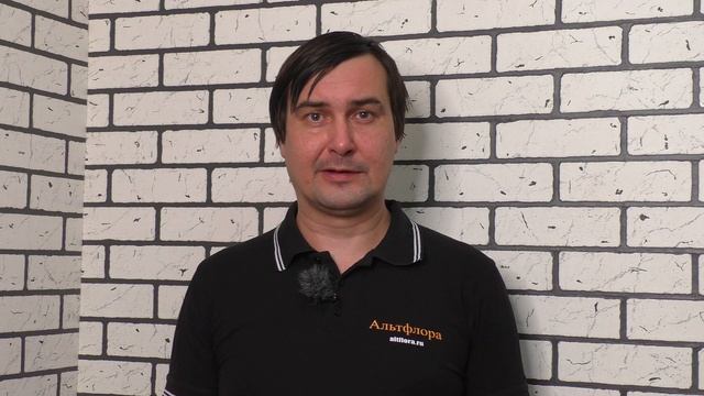 Биокилл и Вертимек - биологические средства от вредителей и клещей. Обзор инсектоакарицидов смотреть онлайн