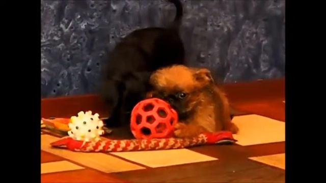 Валюта 2 мес