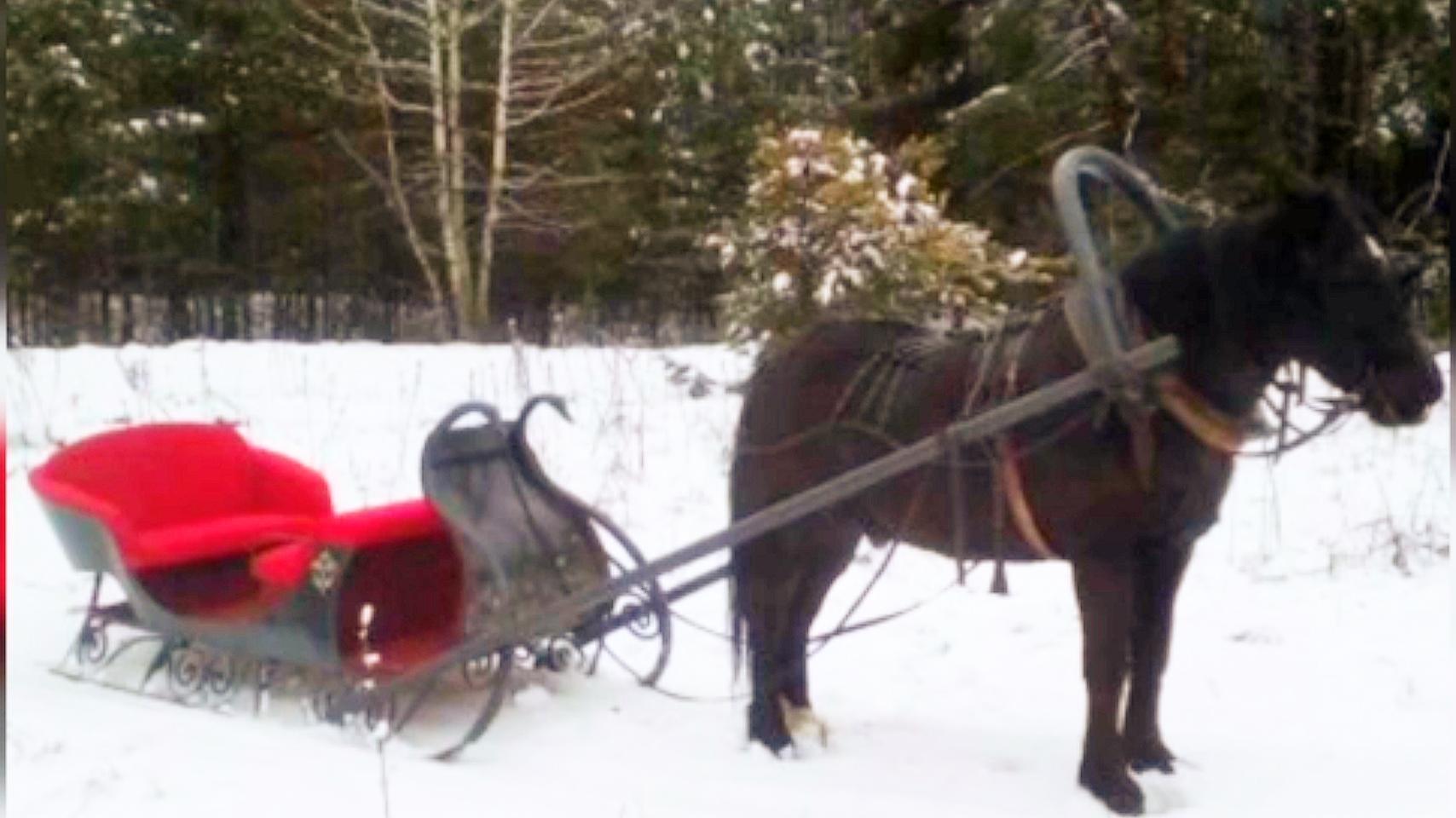 Сани злые лебеди. смотреть онлайн