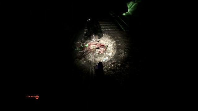 Dark & Eerie Metro Gameplay - FO4 Modded into Resident Evil смотреть онлайн