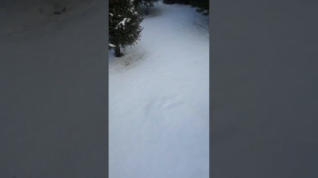 Истина где то рядом. Или якутский нож, который стал не якутским. смотреть онлайн