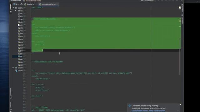 Python Mysql Bağlantı Temel İşlemler смотреть онлайн