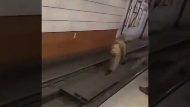 Красноармеец на путях в метро