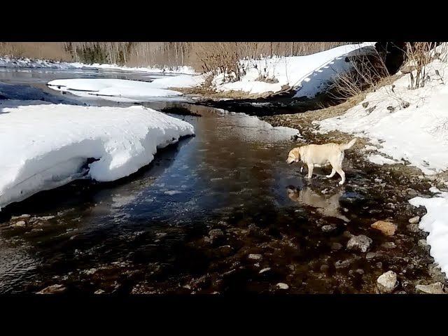 Весна смотреть онлайн