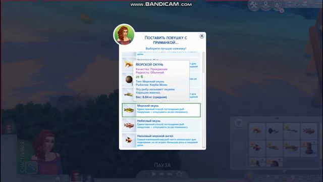 TS4 Челлендж 