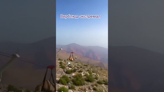 Просто юмор