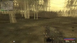 S.T.A.L.K.E.R  Путь Человека: Возвращение  #8 ( Плачь за болотом и Фартовая нычка   )